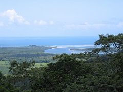 CairnsTC352 Daintree